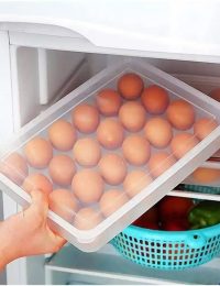 WhatsApp Image 2025-08-13 at 19.52.36_11e1c23d