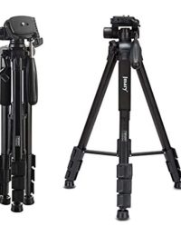 photo_1_2025-08-15_09-55-49