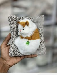 photo_6174937501970580617_y